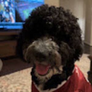 Meet your Posher, Keith